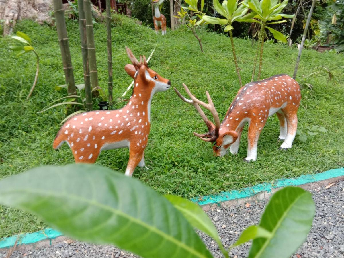My House 아항가마 외부 사진