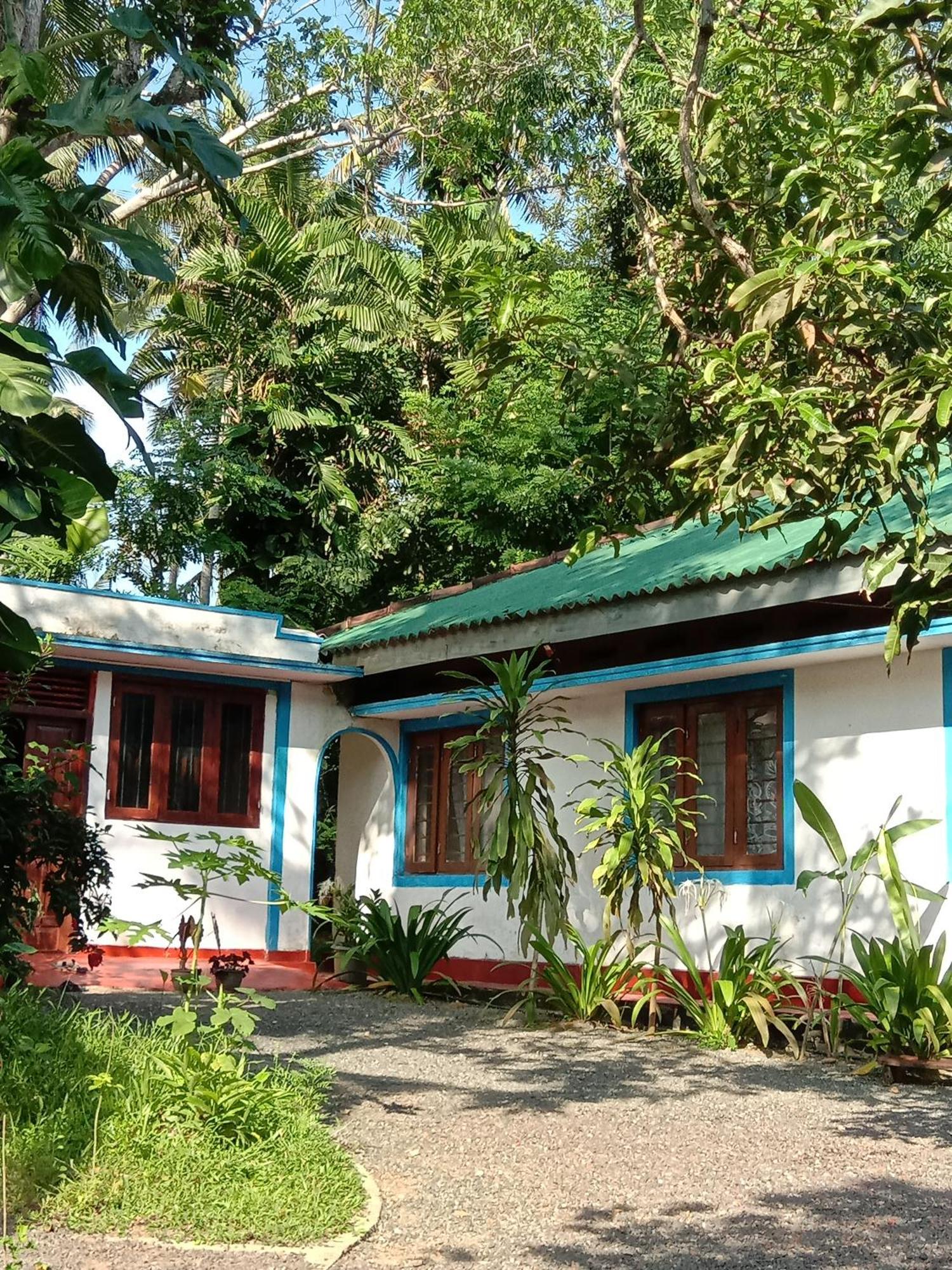 My House 아항가마 객실 사진