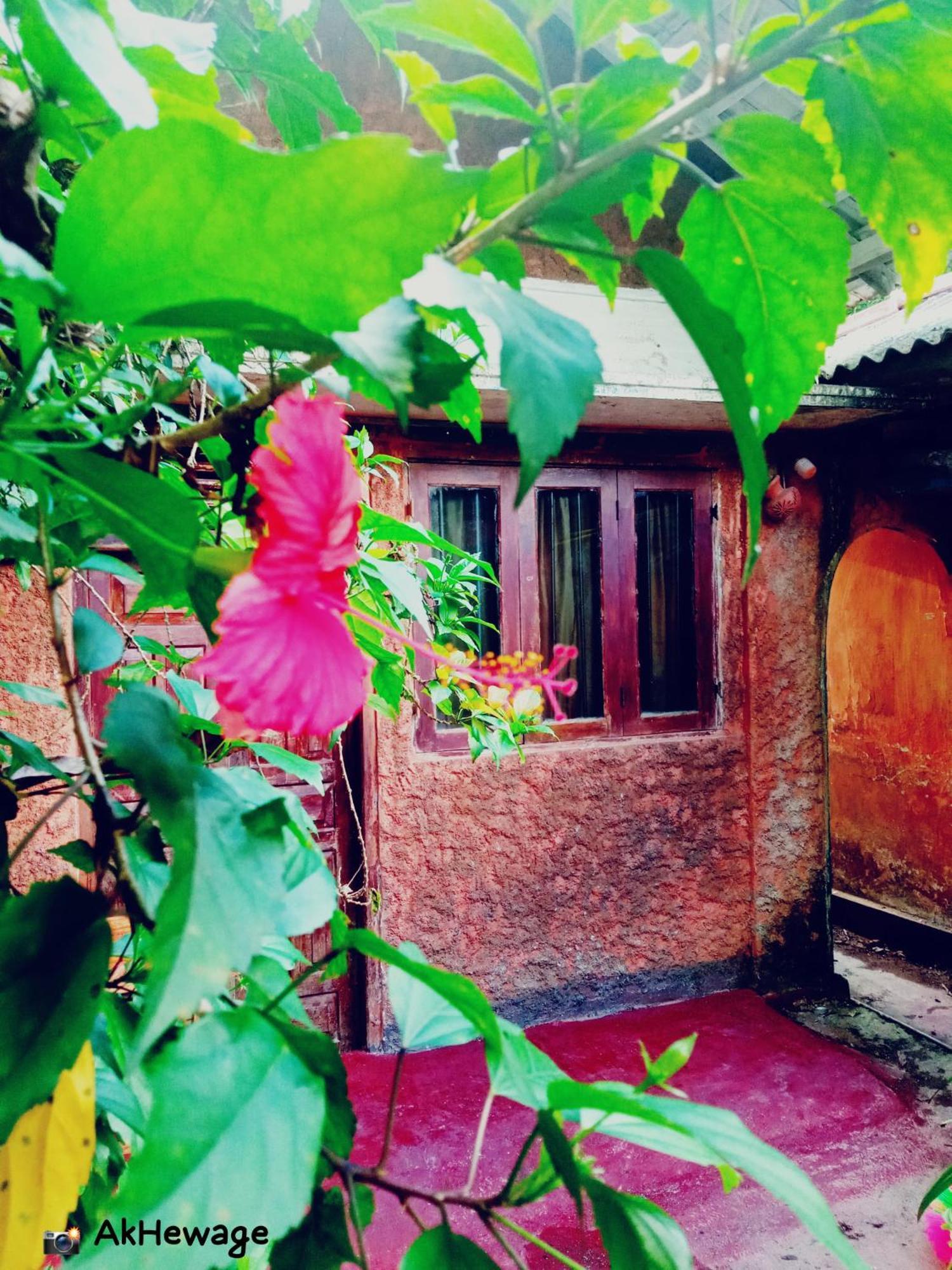 My House 아항가마 객실 사진